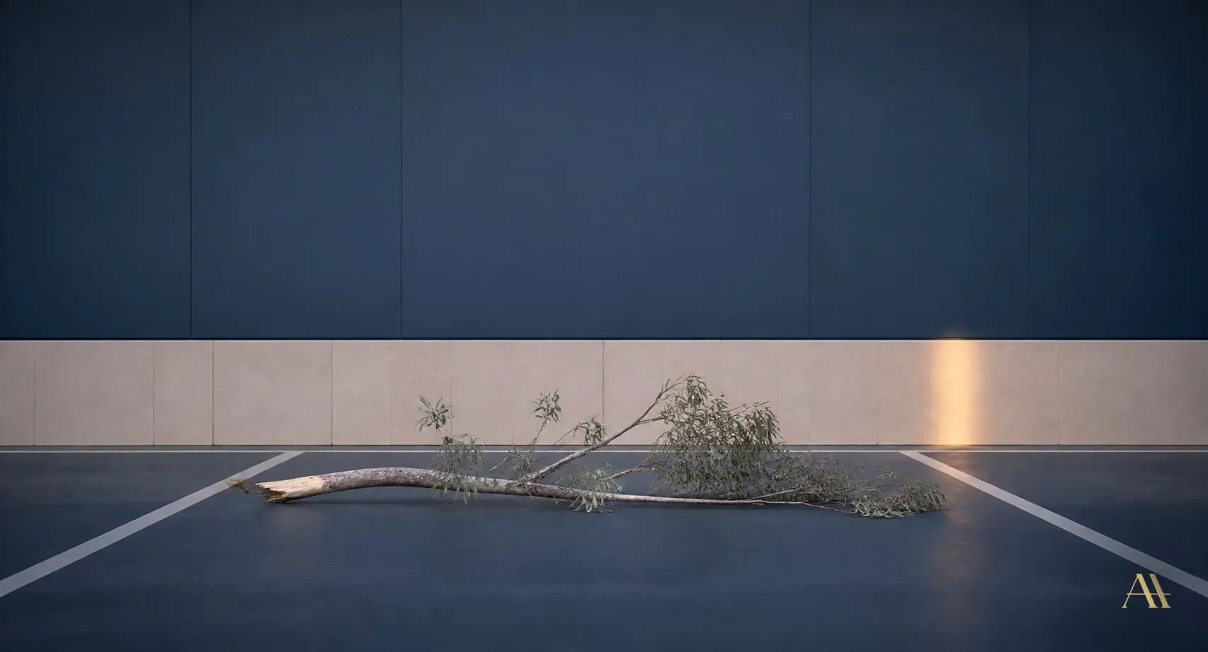 Vehicle Damaged by a Falling Tree — You May Be Entitled to Compensation